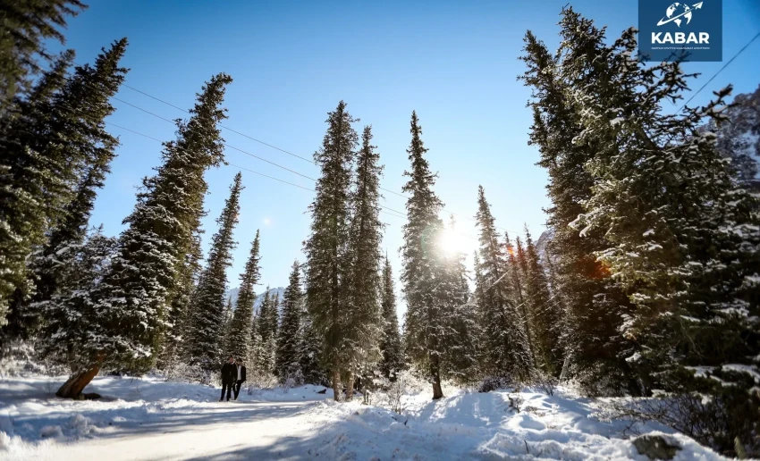 В Бишкеке потеплеет: возможен дождь 18 марта