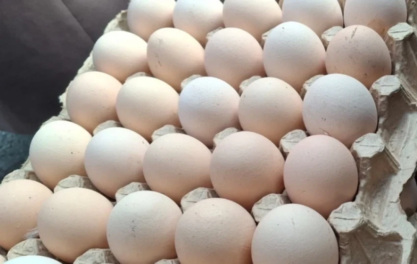 Минводсельхозпром: Колебания цен на яйца являются нормой
