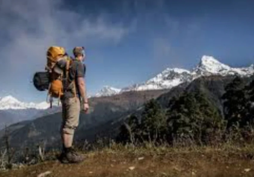 Доходы от экотуризма в заповедниках достигли 37,7 миллионов сомов