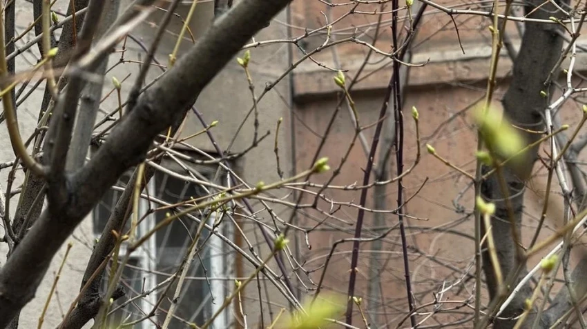 Солнечная погода без осадков ожидает казахстанцев в ближайшие дни