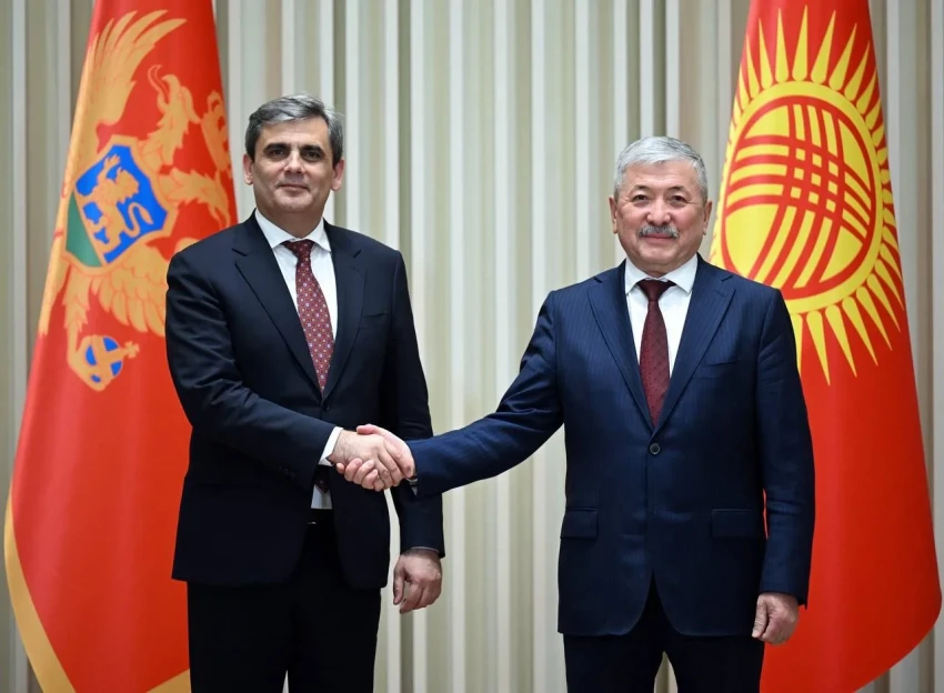 Адылбек Касымалиев встретился с заместителем премьер-министра – главой МИД Черногории