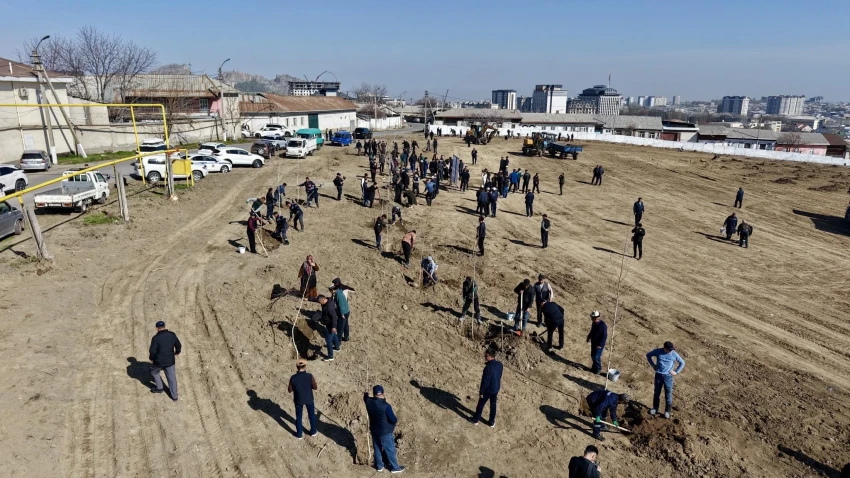 В Оше высадили 1300 саженцев
