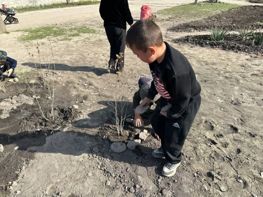 Жители бишкекских новостроек начали создавать мини-скверы своими силами