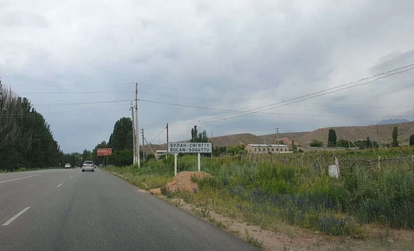 Массовой вырубки в Булан-Соготту не будет – Минприроды