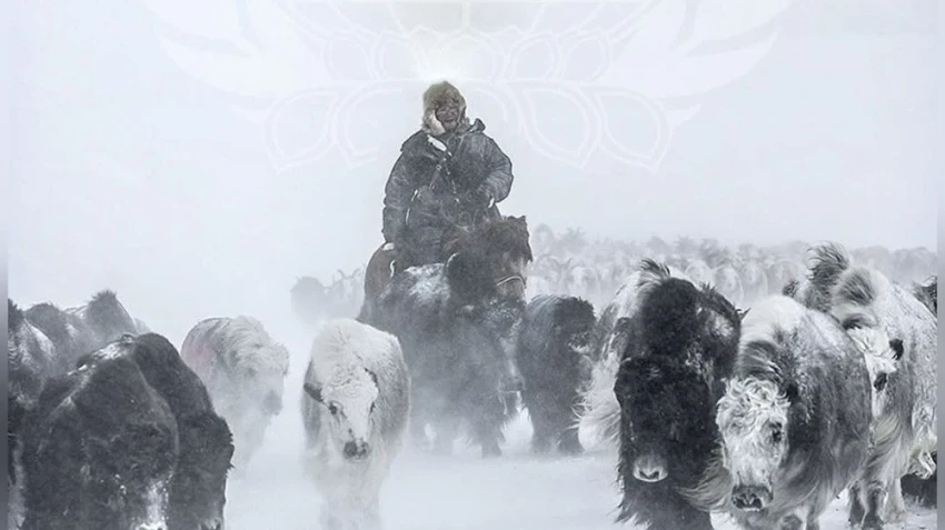 В северной части страны ожидаются снег и метели