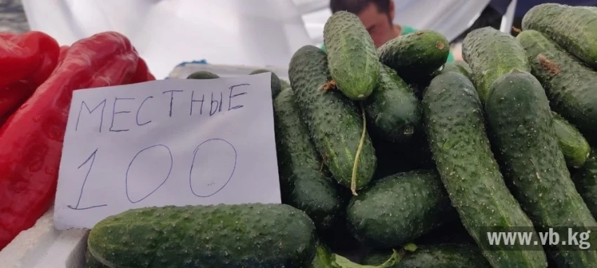 Весенний спрос: что покупают на фермерской ярмарке в Бишкеке