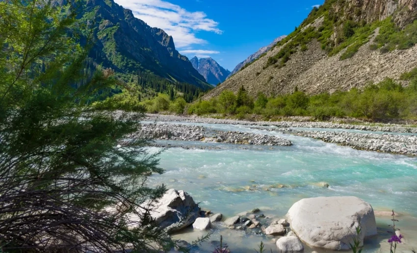 В 2025 году природный парк «Ала-Арча» посетили около 470 тыс. человек