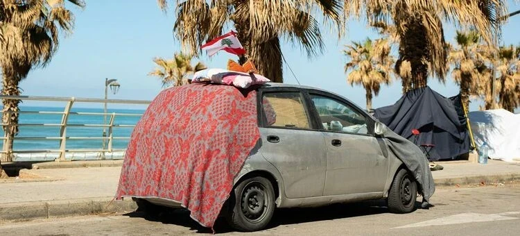 Урожаи под вопросом. О последствиях войны на Ближнем Востоке предупредили в ООН