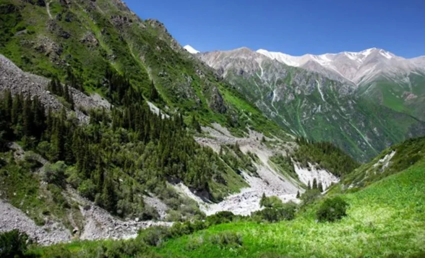 В природном парке «Ала-Арча» обитают редкие животные и редкая флора