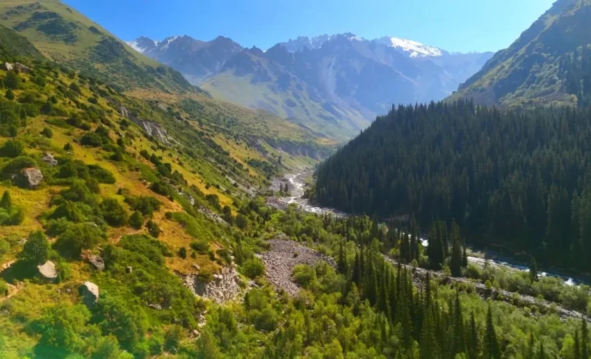 В «Ала-Арче» значительно сократился объем мусора после введения ограничений – директор